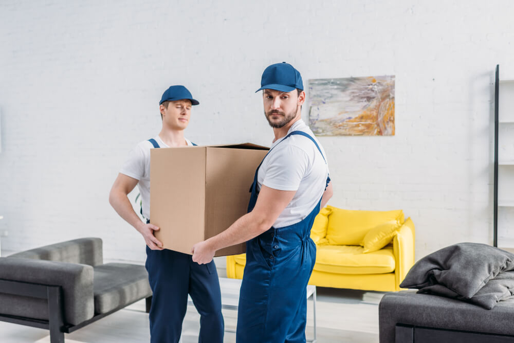 Professional Packing services