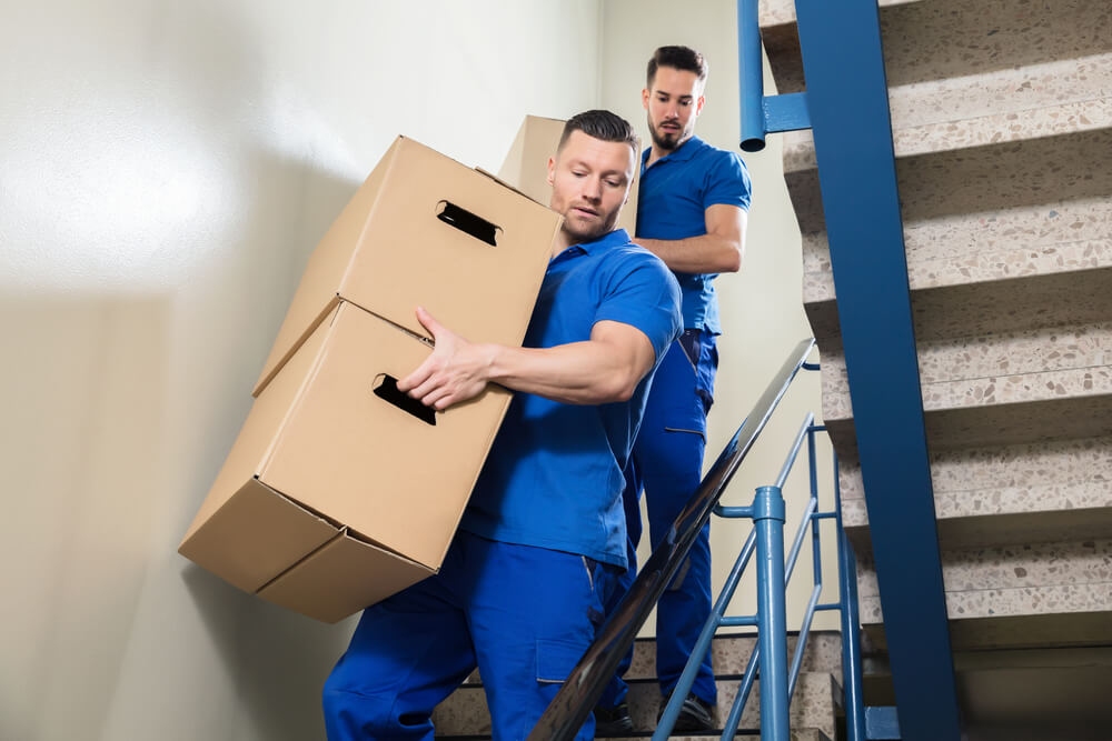 Professional Packing Services Jupiter